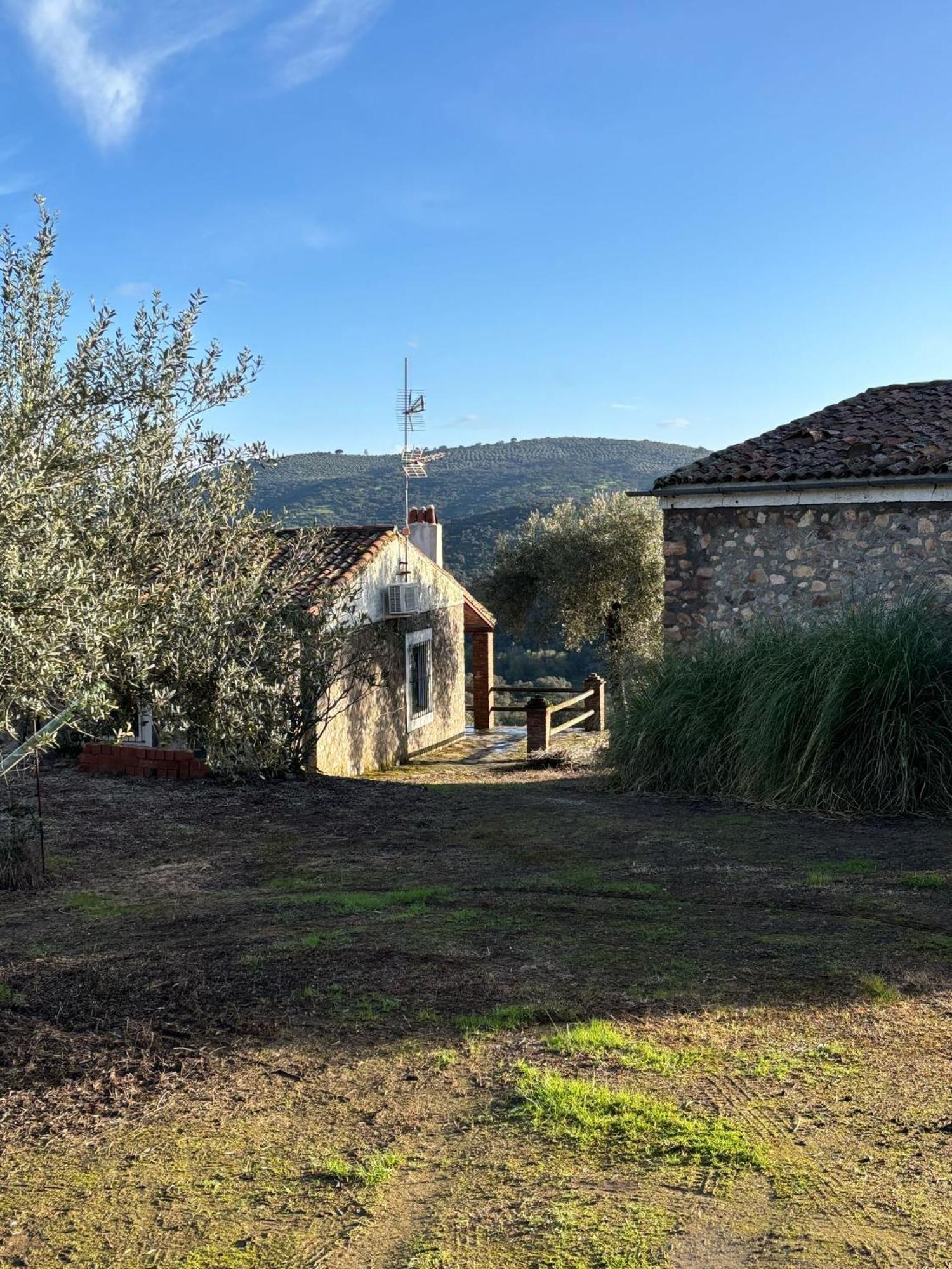 Casas Rurales Los Llanos Fuentes de León Exteriör bild