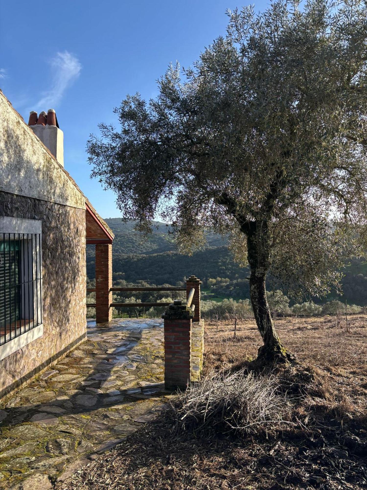 Casas Rurales Los Llanos Fuentes de León Exteriör bild