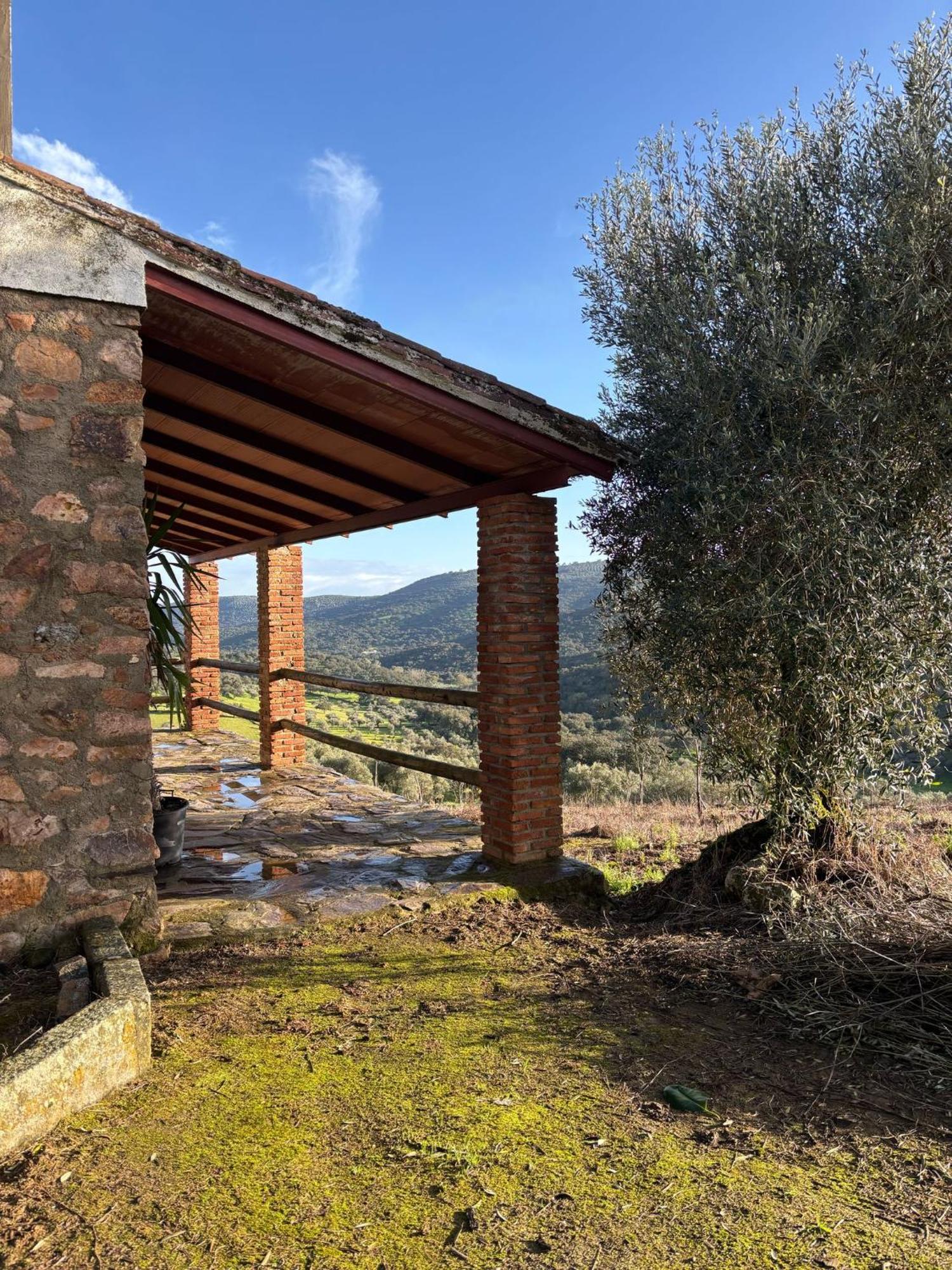 Casas Rurales Los Llanos Fuentes de León Exteriör bild