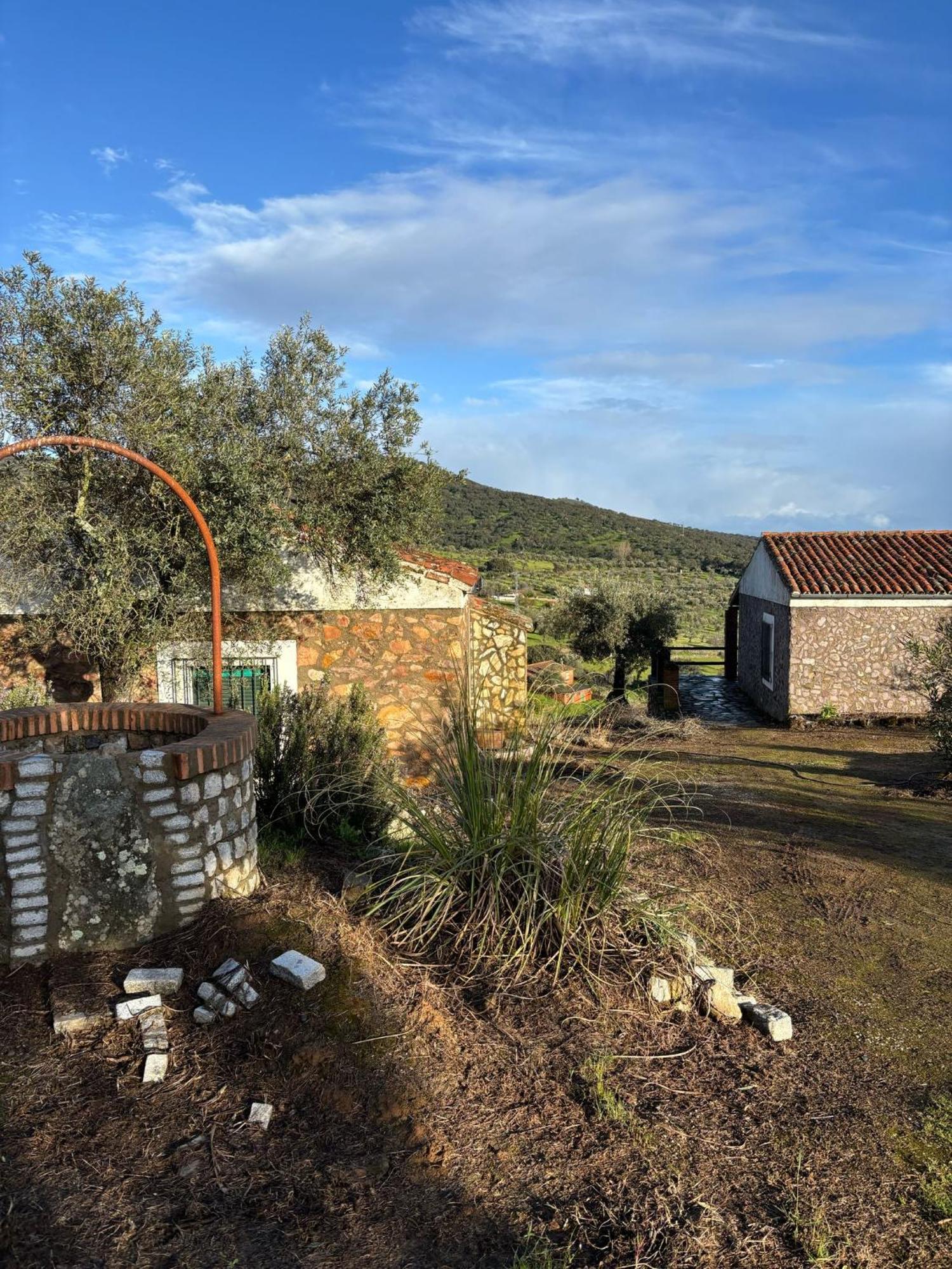 Casas Rurales Los Llanos Fuentes de León Exteriör bild