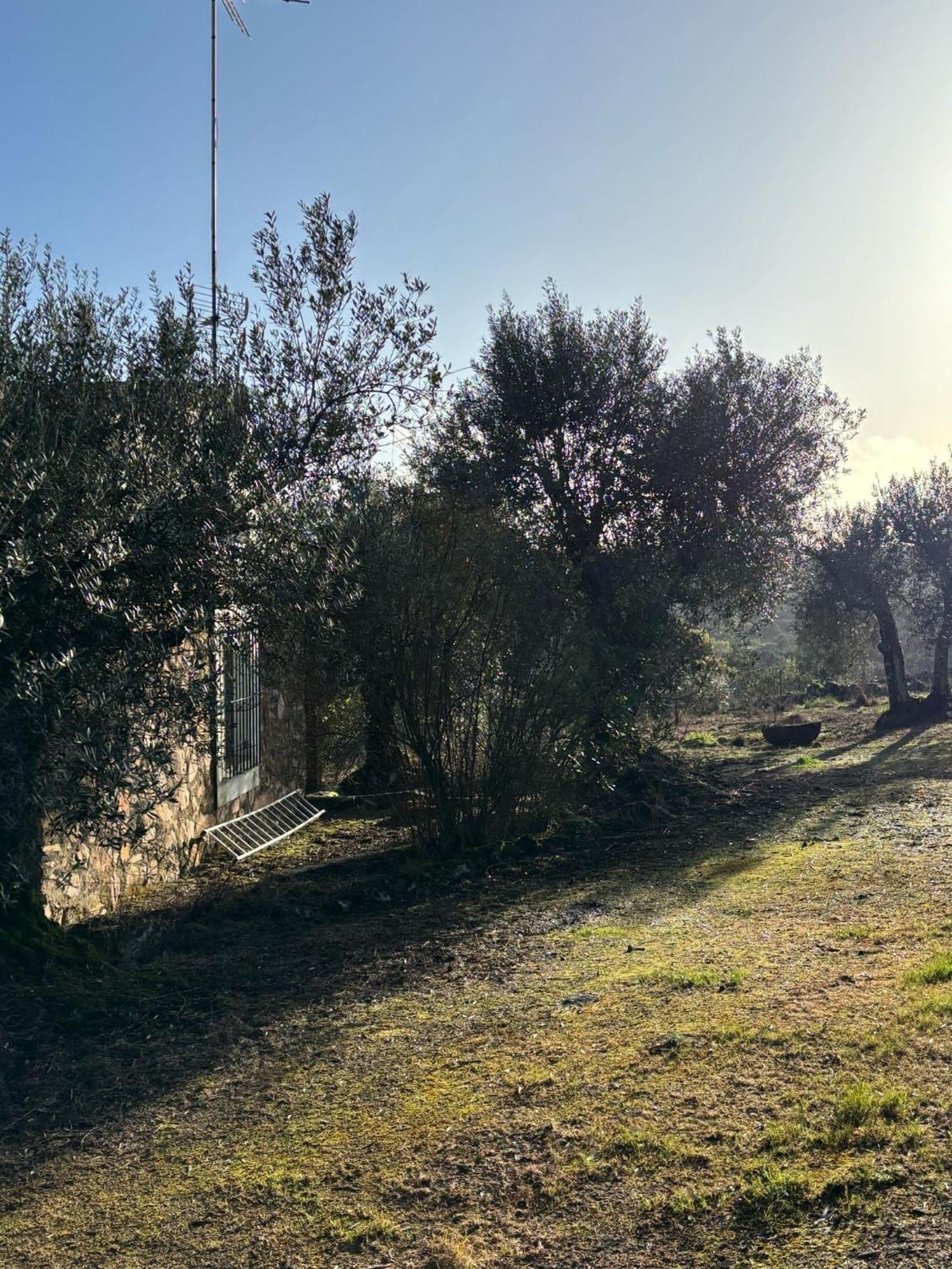 Casas Rurales Los Llanos Fuentes de León Exteriör bild