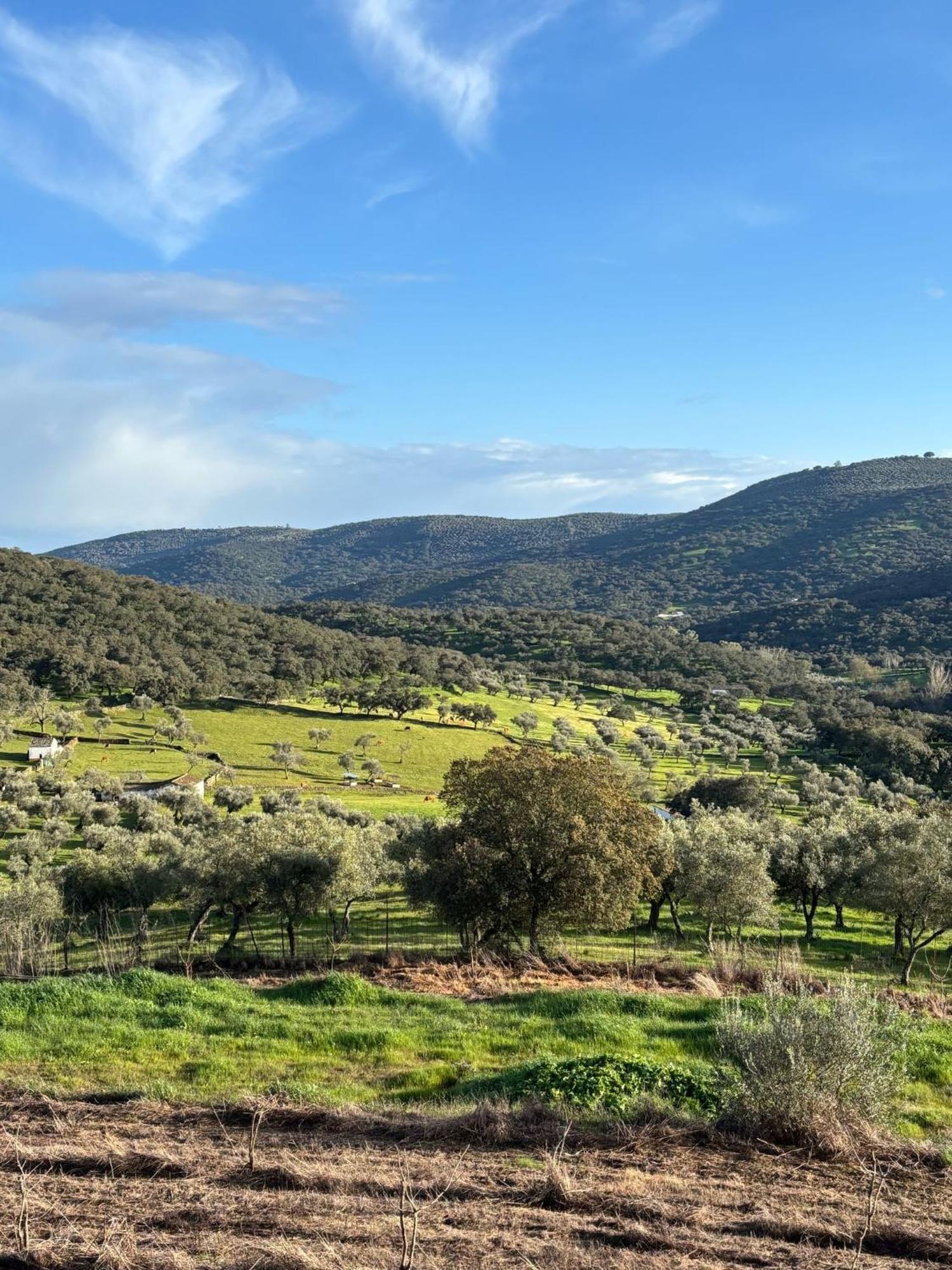 Casas Rurales Los Llanos Fuentes de León Exteriör bild