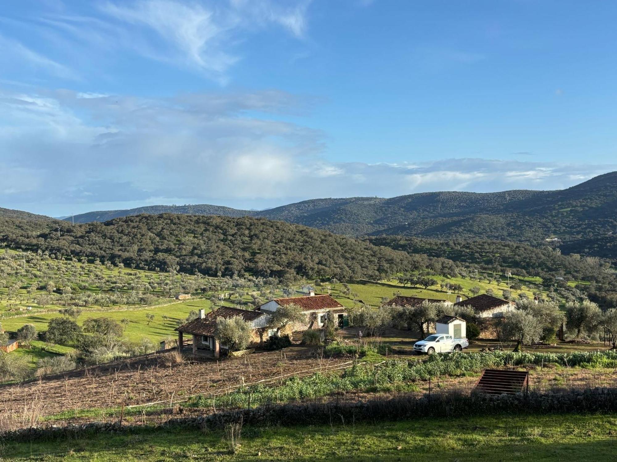 Casas Rurales Los Llanos Fuentes de León Exteriör bild